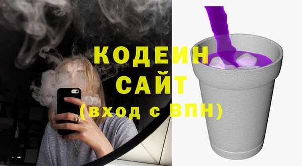 таблы Бородино