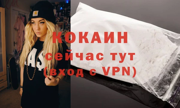 крисы Пересвет