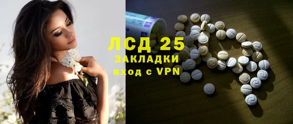 таблы Бородино