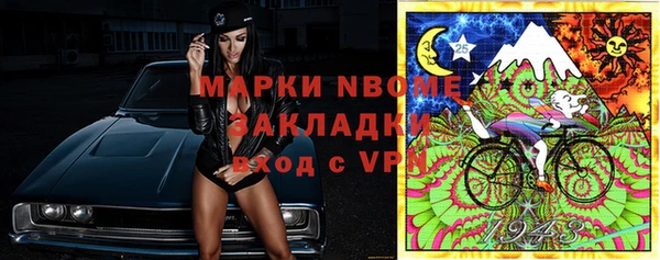 дживик Пестово