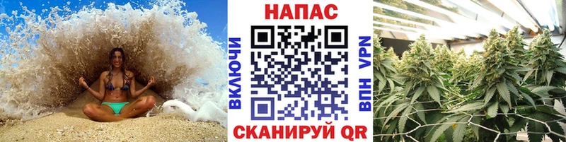 Канабис план Славянск-на-Кубани